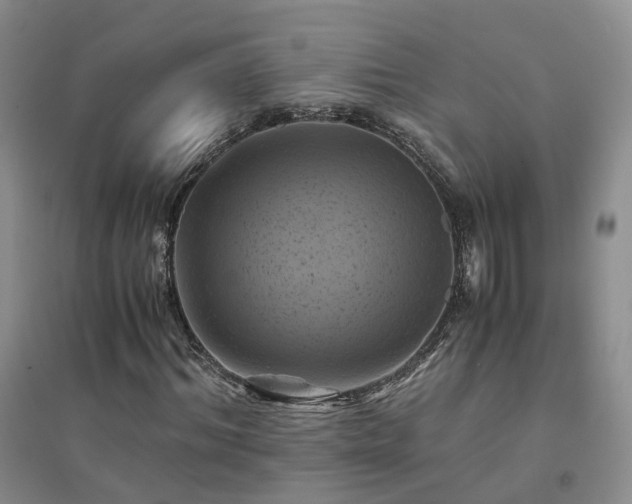 X0000094450964200711151424