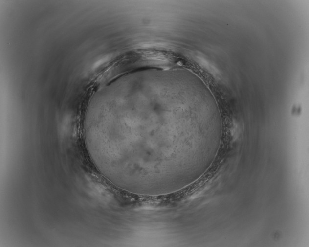 X0000094450965200711151424