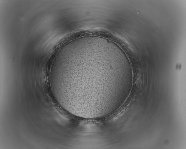 X0000094450966200711151424