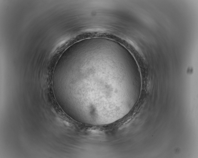 X0000094450967200711151424