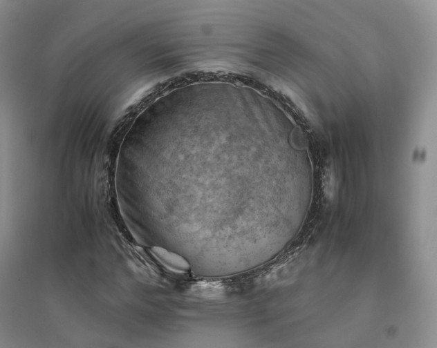 X0000094450968200711151424