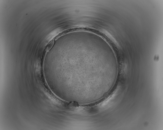 X0000094450969200711151424