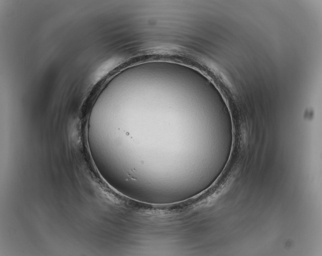 X0000094450970200711151424