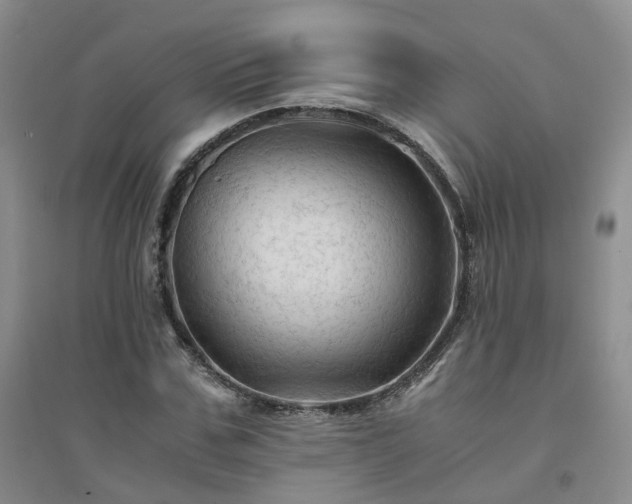 X0000094450971200711151423