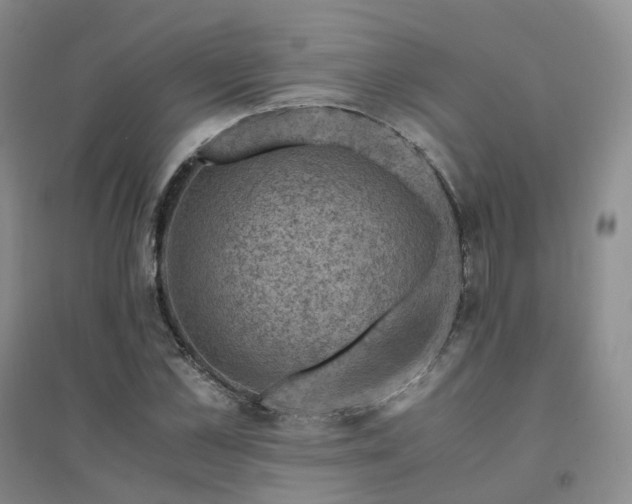 X0000094450973200711151423