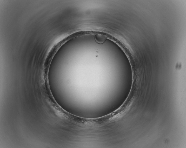 X0000094450974200711151423