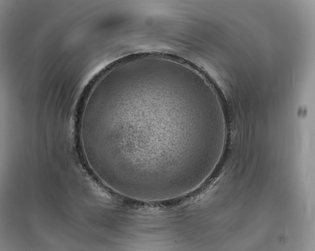 X0000094450975200711151423