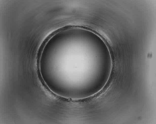 X0000094450976200711151423