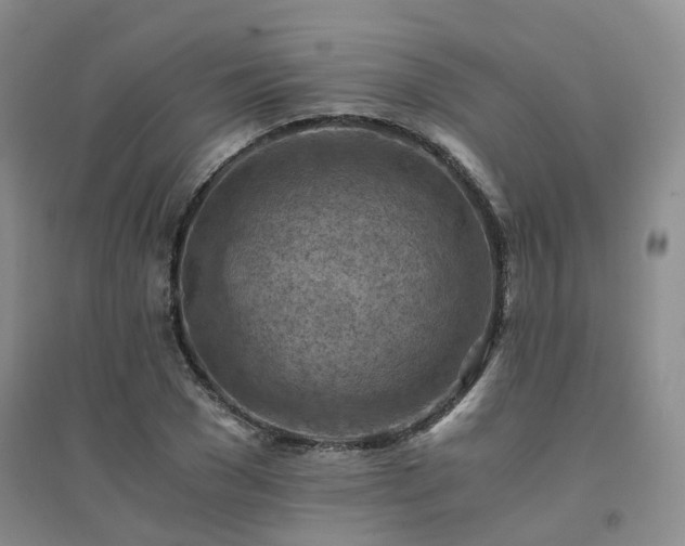 X0000094450977200711151423
