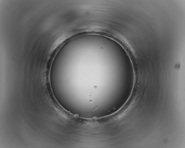 X0000094450978200711151423