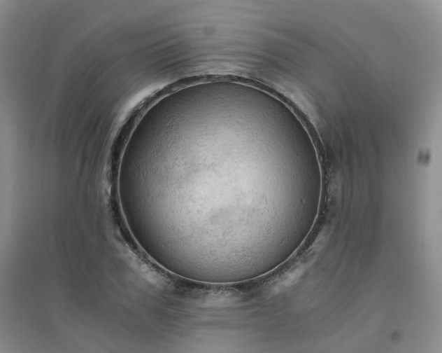X0000094450979200711151423