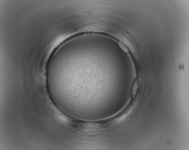 X0000094450981200711151423