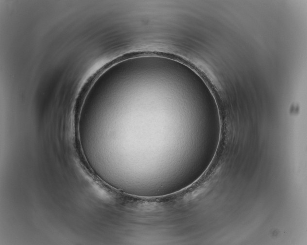 X0000094450982200711151423