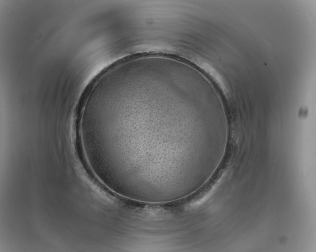 X0000094450983200711151423