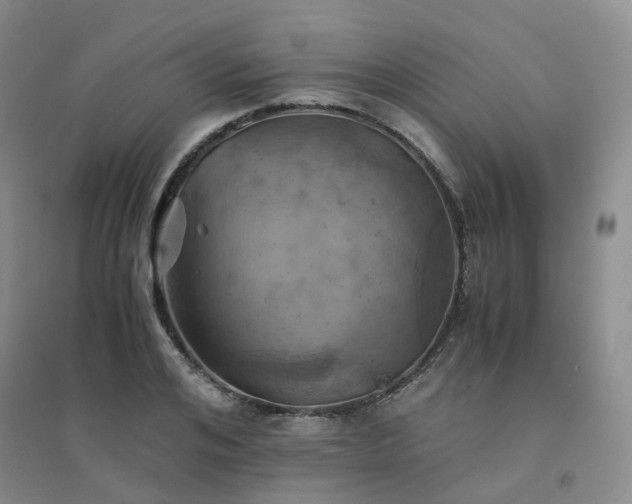 X0000094450984200711151423