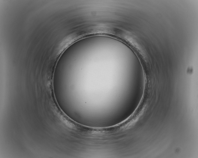X0000094450985200711151423