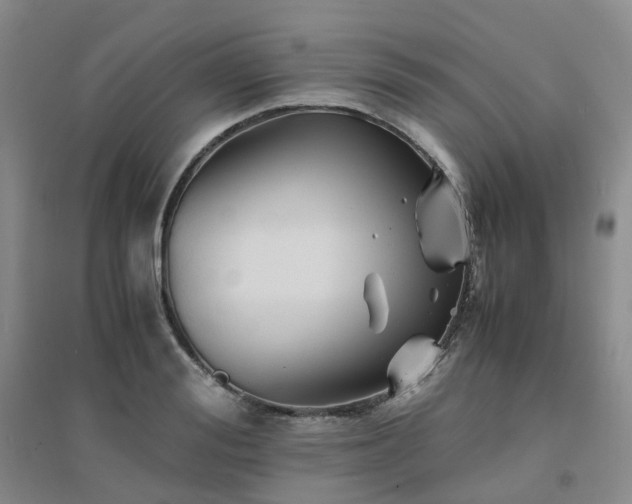 X0000094450988200711151423