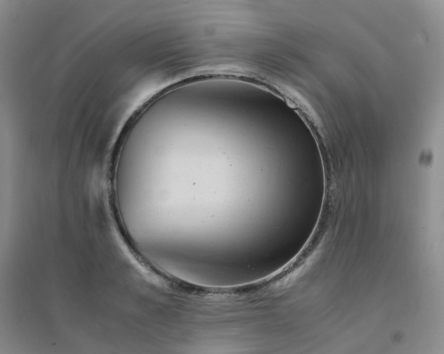 X0000094450989200711151423