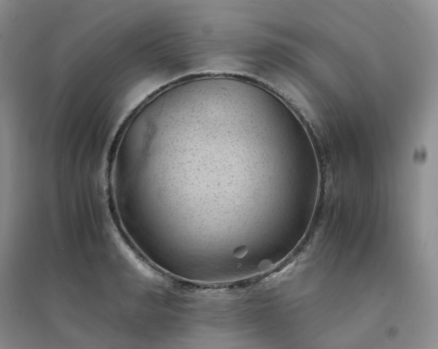 X0000094450990200711151423