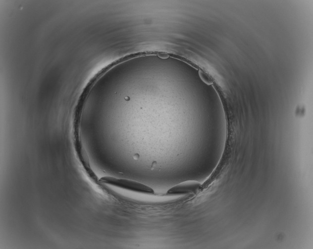 X0000094450991200711151423