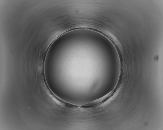 X0000094450993200711151423