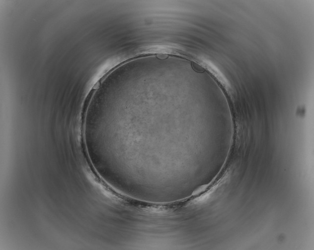 X0000094450994200711151423