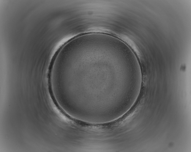 X0000094450995200711151423
