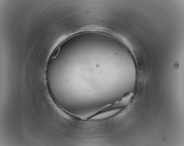 X0000094450997200711151423