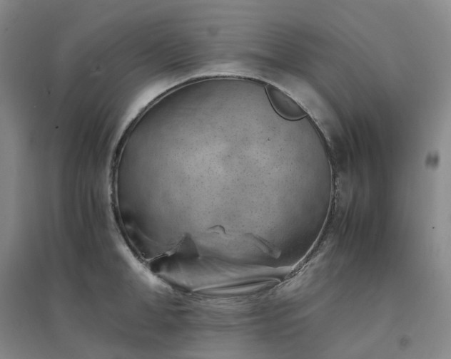 X0000094450998200711151423