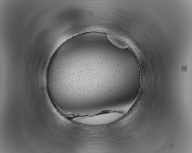X0000094450999200711151423