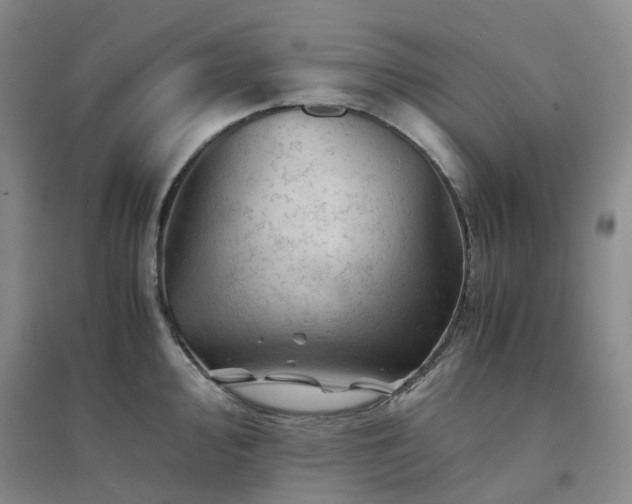 X0000094451000200711151423