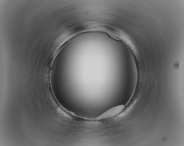 X0000094451001200711151423