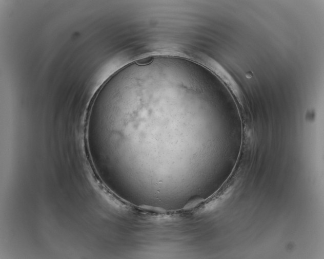 X0000094451002200711151423