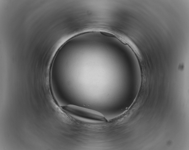 X0000094451004200711151423