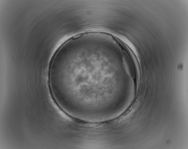 X0000094451005200711151423