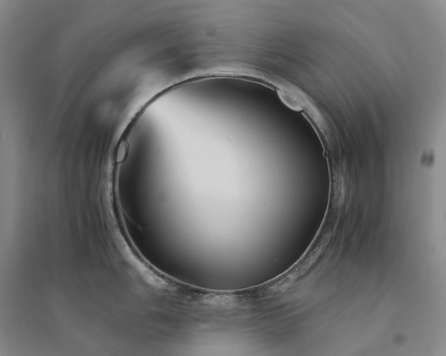 X0000094451006200711151423