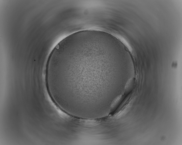 X0000094451007200711151423