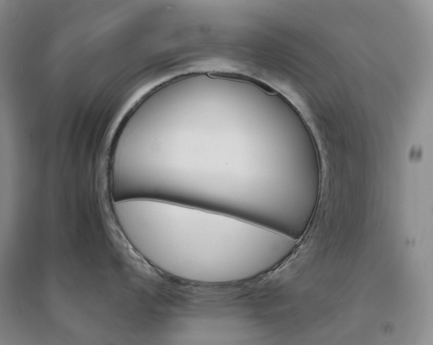 X0000094451008200711151423