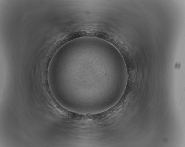 X0000094451009200711151422