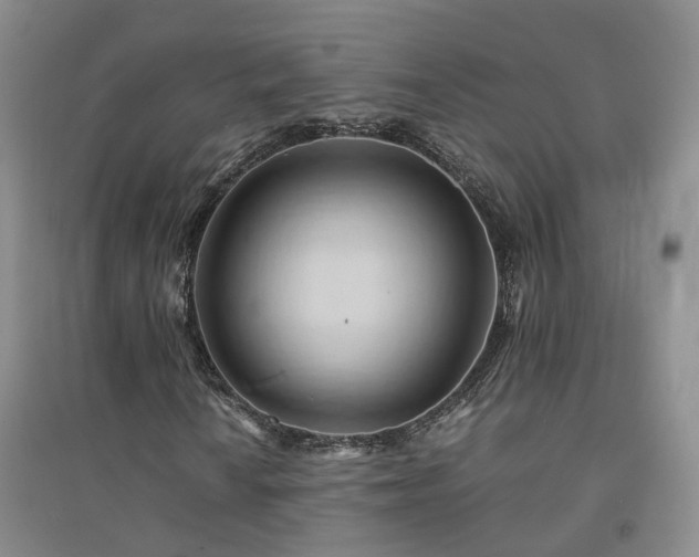 X0000094451010200711151422