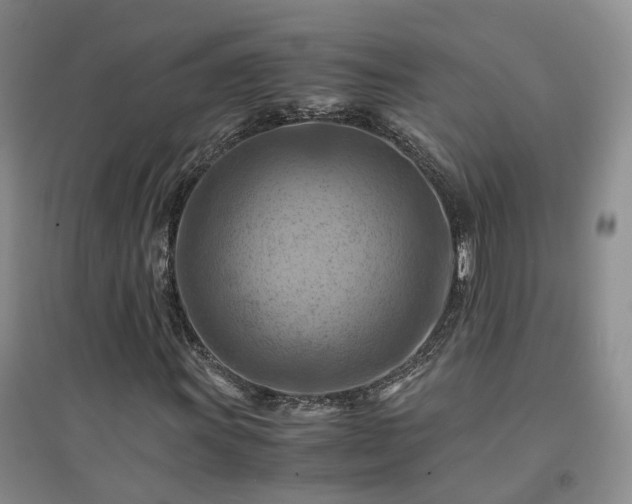 X0000094451011200711151422