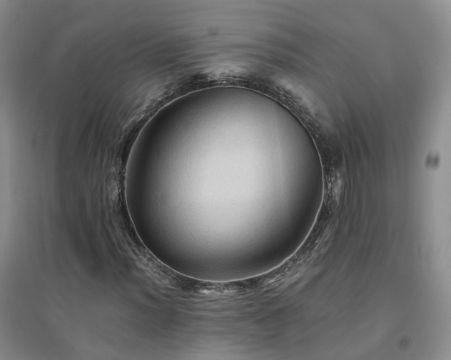 X0000094451012200711151422