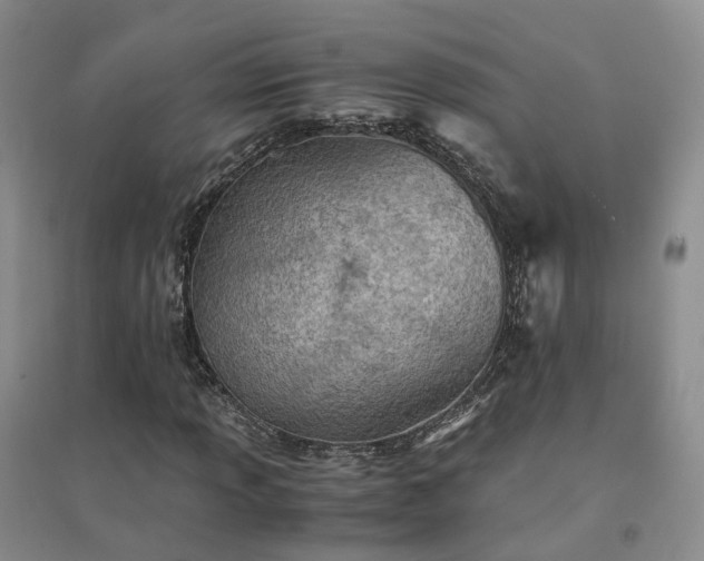 X0000094451013200711151422