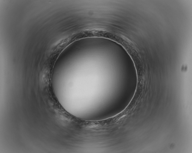 X0000094451014200711151422