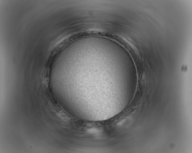 X0000094451015200711151422