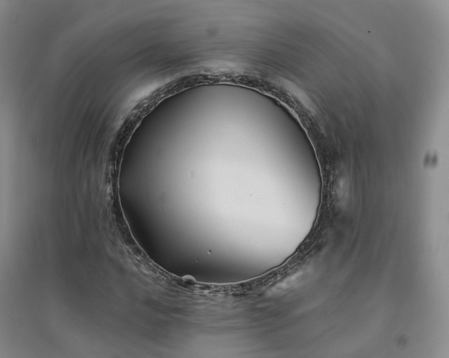X0000094451016200711151422