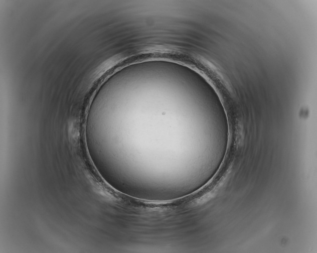 X0000094451017200711151422
