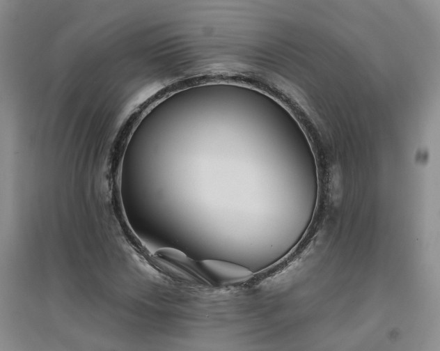 X0000094451018200711151422
