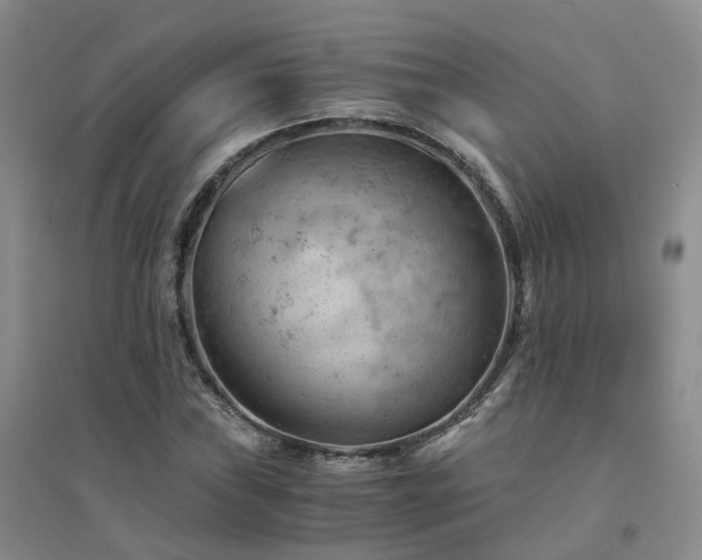 X0000094451019200711151422