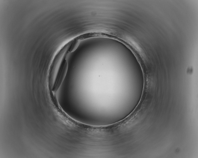 X0000094451020200711151422